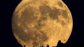 Japón ofrecerá bodas en el espacio