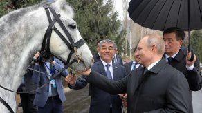 Presidente de Kirguistán regala a Putin un perro y un caballo
