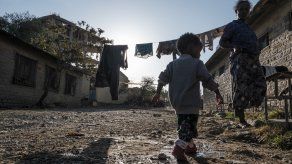 El PMA proporcionó ayuda de emergencia a más de un millón de personas en las zonas del noroeste y el sur de Tigré.&nbsp;