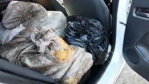 Decomisan droga en Panamá Viejo, dos aprehendidos Decomisan droga en Panamá Viejo, dos aprehendidos