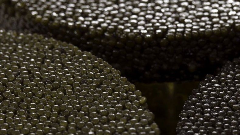 El caviar, un manjar exclusivo producido en todo el mundo