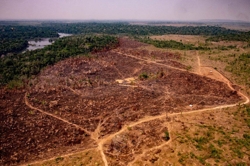 La deforestación de estos dos periodos superó por primera vez desde 2008 los 10.000 km2 y eso podría ocurrir ahora nuevamente si la reducción se limita al 5% (serían 10.308 km2).