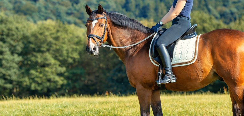 Jinete se retira de los Juegos Olímpicos 2024 tras ser investigada por maltrato animal