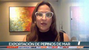 Panamá y Costa Rica mantienen plan de colaboración en la lucha contra la pesca ilegal