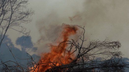 Incendios en la Amazonía brasileña registran el peor agosto en 12 años