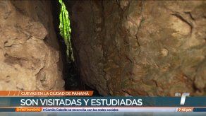TR Verde: Las Cuevas de Alajuela