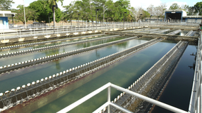 Planta Potabilizadora retoma servicio de agua potable.