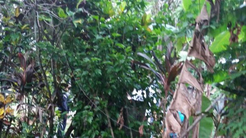 Chatarra y viejos enseres encontrados en operativo contra el dengue en Las Mañanitas