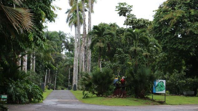 ATP promueve la belleza exótica del Parque Municipal Summit