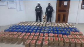 Incautan 780 paquetes de presunta droga.