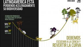 El mundo perdió casi 70% de la fauna salvaje desde 1970