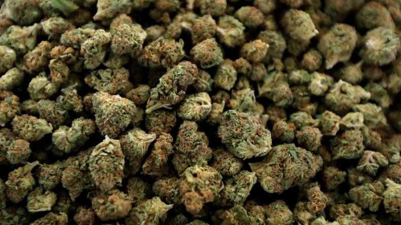 A partir de hoy Michigan permite marihuana recreativa