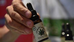 Iniciativa que regula el cannabis medicinal permanece estancada en la Asamblea Nacional