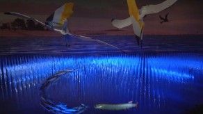 Los pterosaurios levantan el vuelo en un museo de Los Ángeles