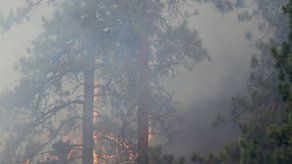 Incendios consumen unas 100 casas en Washington