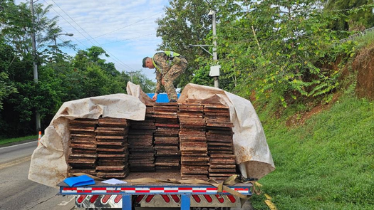 SENAFRONT y MiAmbiente decomisan tablas de madera. SENAFRONT y MiAmbiente decomisan tablas de madera.