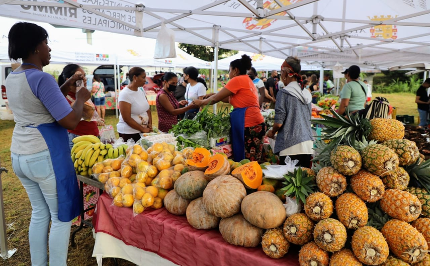 La Alcaldía de Panamá anuncia las próximas ferias libres de alimentos.