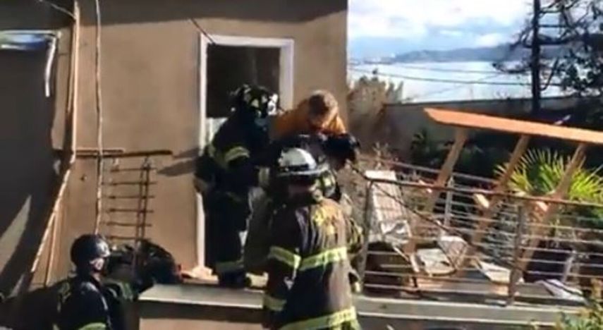 Varios veterinarios que llegaron al lugar examinaron a la perra