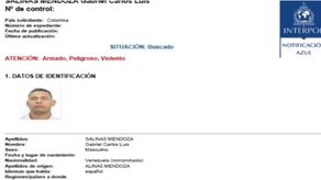 Gabriel Carlos Luis Salinas Mendoza.