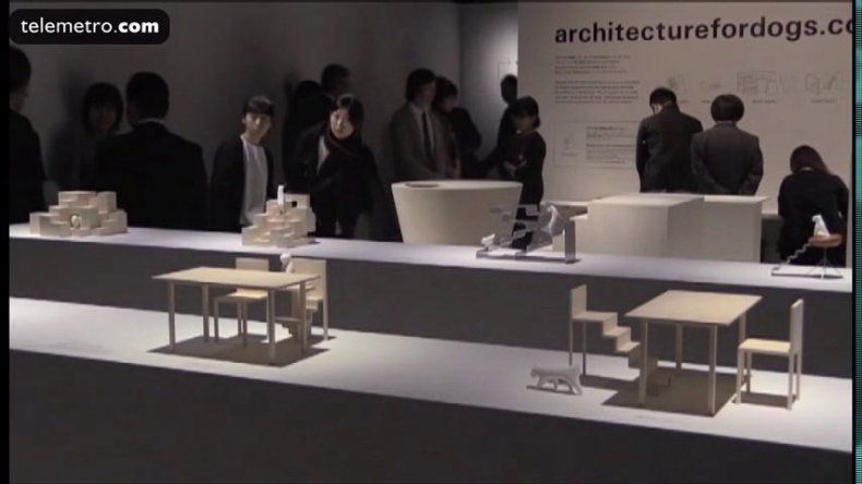 Los mejores arquitectos muestran sus casas para perros en Tokio