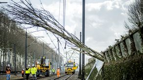 La tormenta Eunice provocó la caída de árboles en muchas rutas o daños en los cables aéreos.