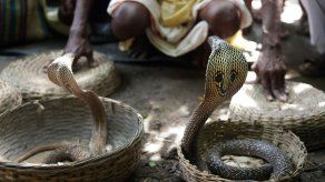 Un encantador muere mordido por su serpiente en la plaza de Marrakech