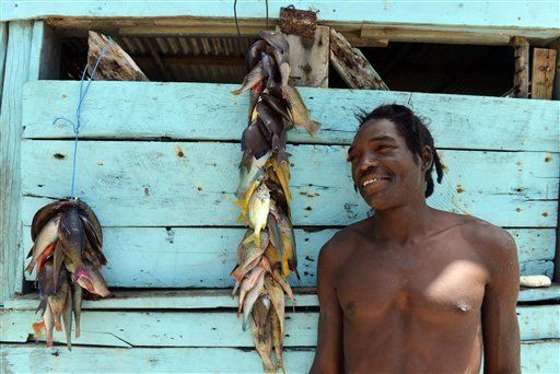 Zonas especiales protegen fauna marina en Caribe