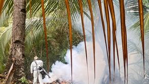 Alerta sanitaria en Soná: primer caso de malaria falciparum en 2025