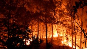 Los incendios forestales también han afectado a otros países de Europa este verano, desde Grecia hasta Portugal.&nbsp;