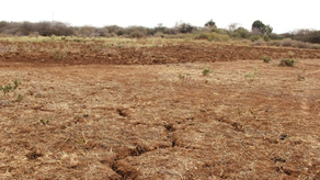 Fenómeno de El Niño