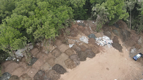 MiAmbiente ordena la paralización de un proyecto por tala ilegal en un manglar del Humedal Bahía de Panamá. MiAmbiente ordena la paralización de un proyecto por tala ilegal en un manglar del Humedal Bahía de Panamá.