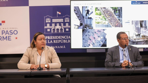 MOP: Puente de las Américas es seguro