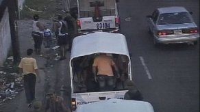 Capturan a banda mata perros