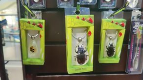 La red comercializaba las especies de vida silvestre en artículos de bisuterías en tiendas ubicadas en la ciudad de Panamá y en Costa Rica.
