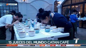 Inicia la cata internacional de café The Best of Panamá