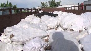 Decomisan otoe y cigarrillos de contrabando en Paso Canoas