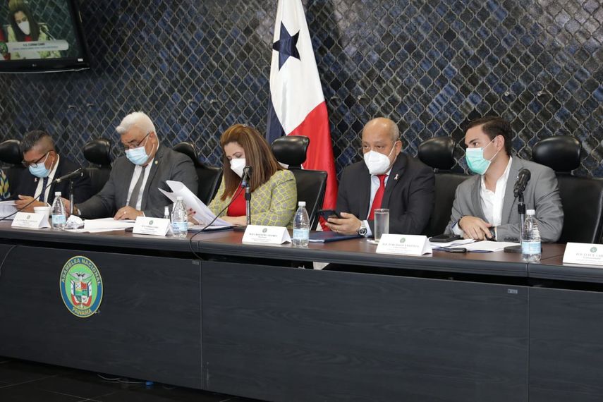 La Comisión de Gobierno de la Asamblea Nacional analizó la objeción parcial del presidente de la República