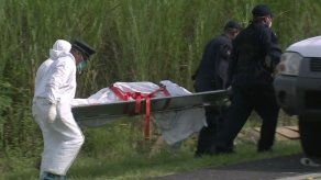 Encuentran cadáver en un herbazal en Cocolí Encuentran cadáver en un herbazal en Cocolí