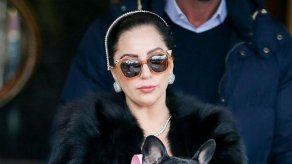 Lady Gaga diseñará una línea de ropa para perros