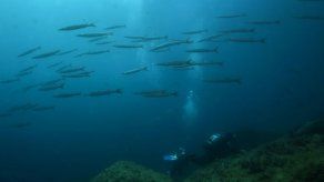 Altas temperaturas afectan a océanos y aumentan fuerza tormentas tropicales
