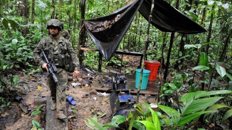 Venezuela pide a Colombia actuar ante aumento alarmante de narcocultivos