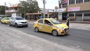 Cinco mil productores solicitan salvoconductos en Coclé Cinco mil productores solicitan salvoconductos en Coclé