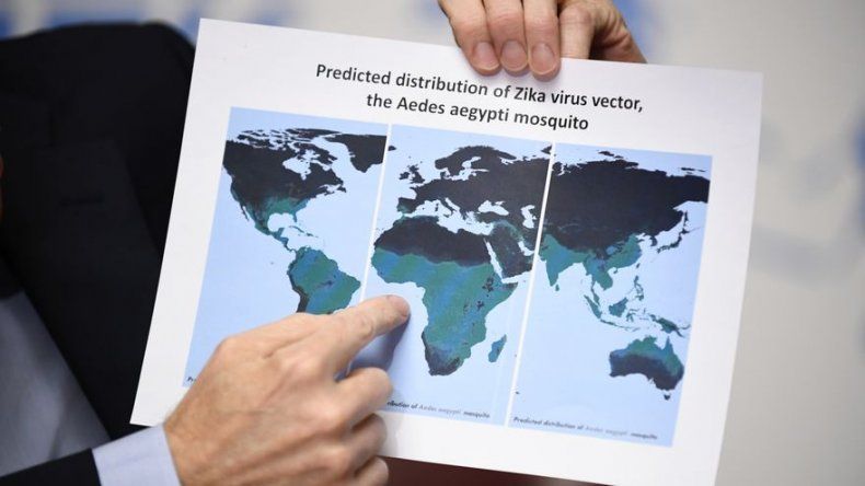 El virus zika llegó al continente americano en 2013, según un estudio