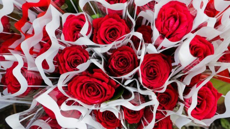 Rosas rojas de Ecuador esperan a los enamorados en mercados de medio mundo