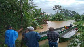 El MIDA informó que el desborde de cinco ríos debido a las fuertes lluvias ha ocasionado daños a la producción en Bocas del Toro. El MIDA informó que el desborde de cinco ríos debido a las fuertes lluvias ha ocasionado daños a la producción en Bocas del Toro.
