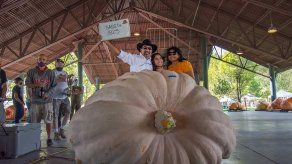 Calabazas gigantes rompen récord en Utah