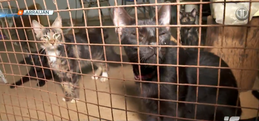 MINSA detalla conductas sancionadas