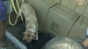 ONU lanza programa de seguridad marítima en Centroamérica