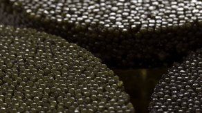 El caviar