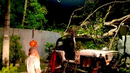 Árbol cae en 24 de Diciembre Árbol cae en 24 de Diciembre